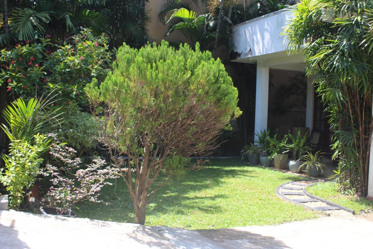 Bird'S Nest By Natures Bliss Ragama Exterior photo