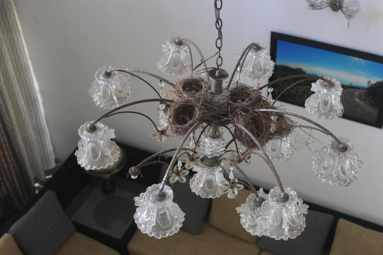Bird'S Nest By Natures Bliss Ragama Exterior photo